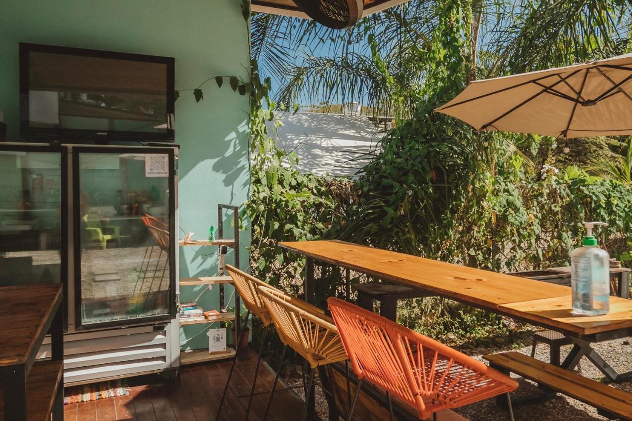 Hotel Habitat Surf Glamp Playa Santa Teresa  Exteriér fotografie